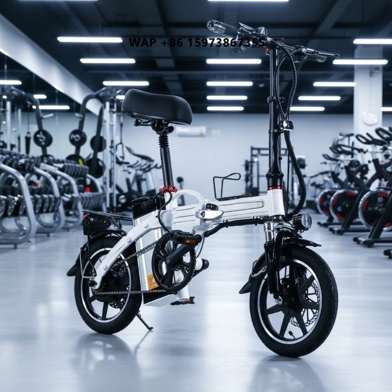 Mini Folding Electric Bike Fac - Commuter Biking ulasan dan harga