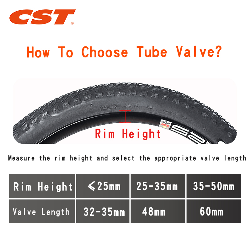 2PCS CST Bike Inner Tubes 20in - Inner Tube 700C ulasan dan harga